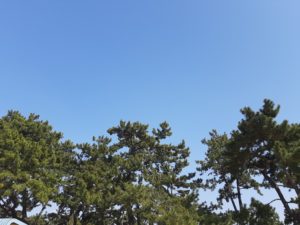 浜寺公園フィッシングパーク雲一つない青空