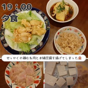 鶏むね肉の天ぷら、揚げだし豆腐、オートミール