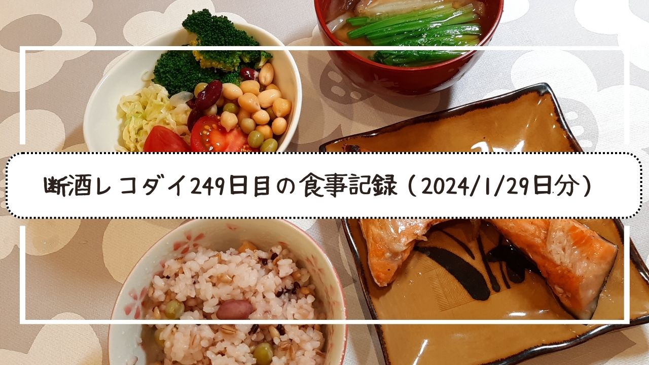 断酒レコダイ249日目の食事記録