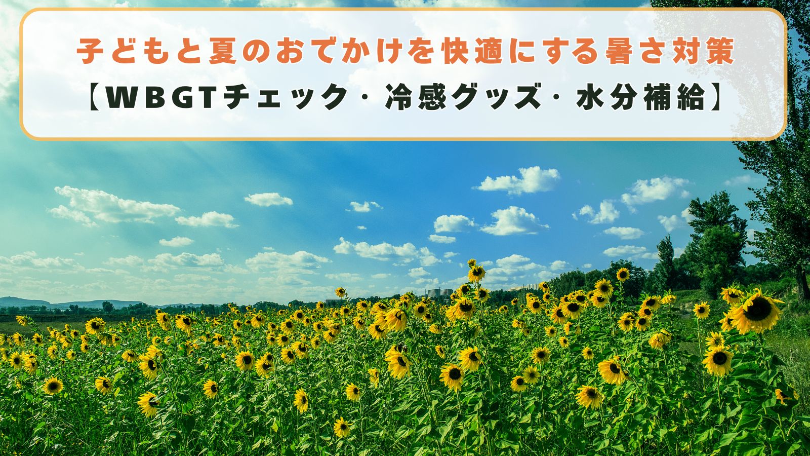 子どもと夏のおでかけを快適にする暑さ対策【WBGTチェック・冷感グッズ・水分補給】