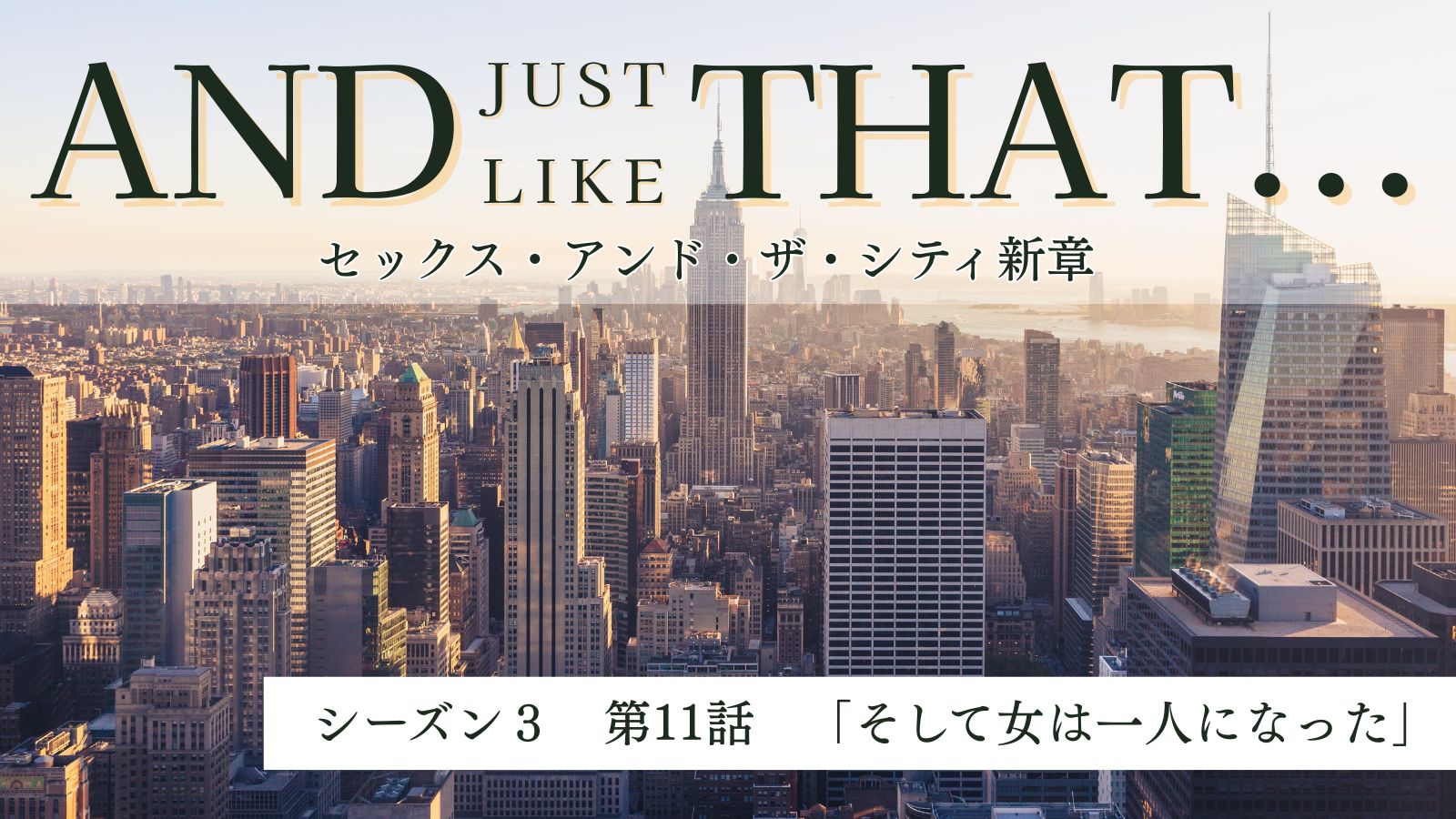 SATC新章And Just Like That…S3-E11「そして女は一人になった」