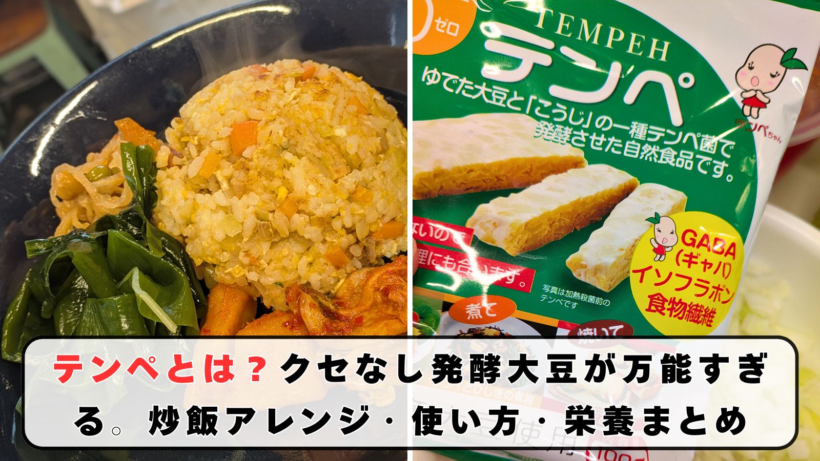 テンペとは？クセなし発酵大豆が万能すぎる。炒飯アレンジ・使い方・栄養まとめ