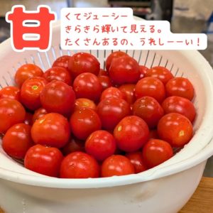 甘くてジューシー！皮も薄くて美味しい！ソムリエトマト
