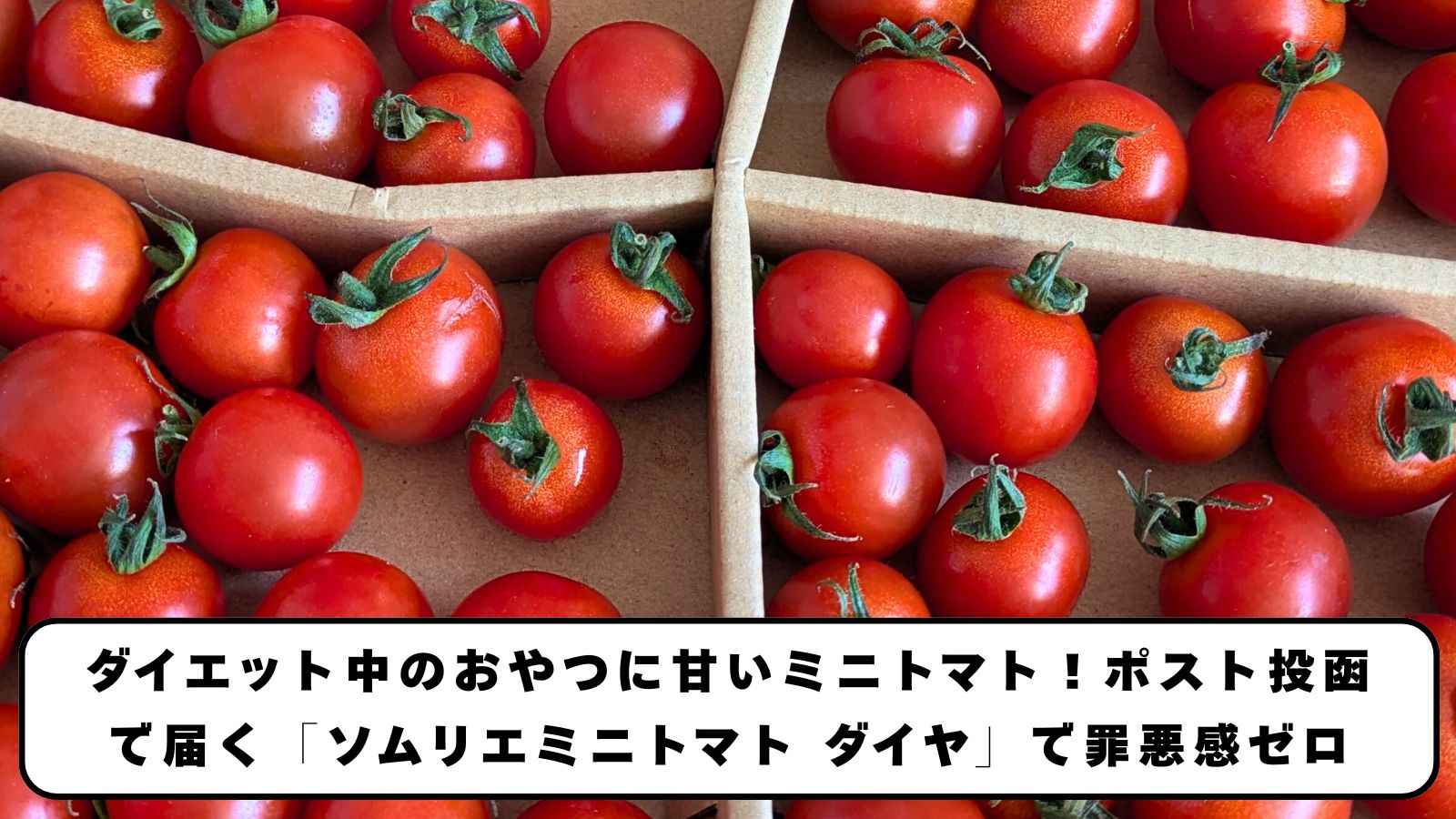 ダイエット中のおやつに甘いミニトマト！ポスト投函で届く「ソムリエミニトマト ダイヤ」で罪悪感ゼロ
